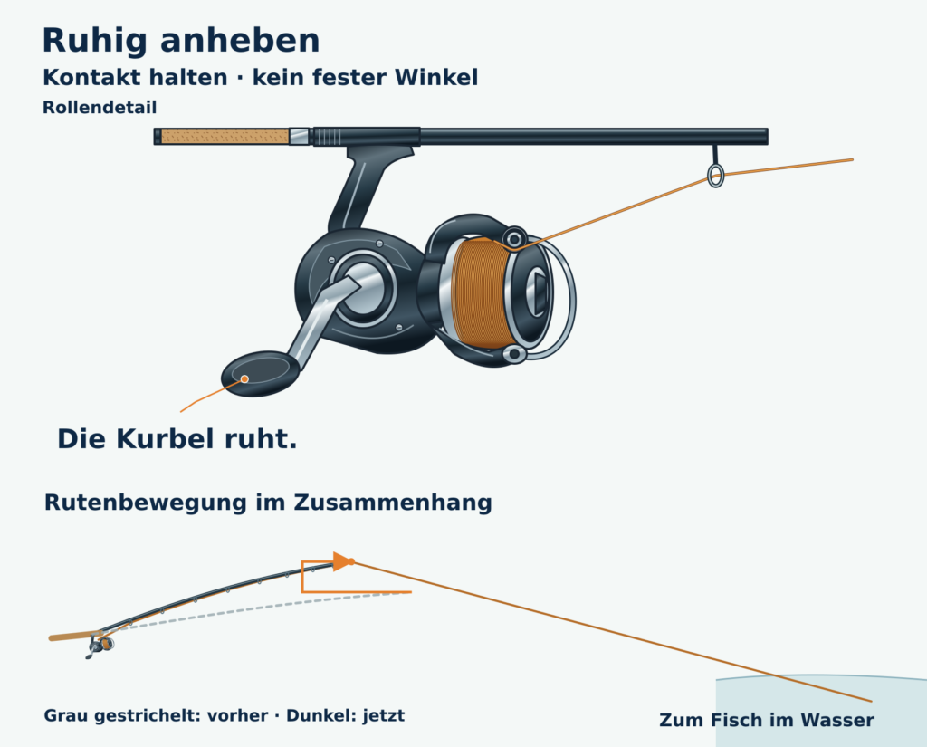 Vergrößerte Rollenansicht mit ruhender Kurbel und Schnurführung am Schnurlaufröllchen; darunter angehobene Rute, vorherige Lage gestrichelt.