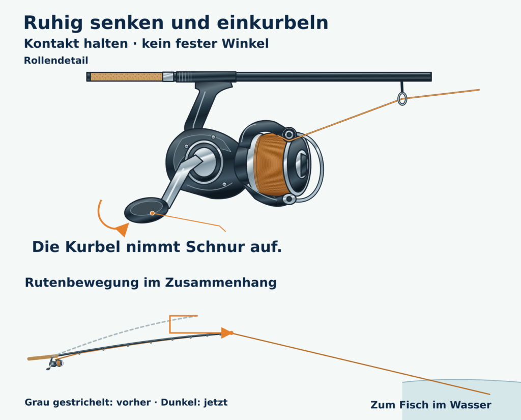 Vergrößerte Rollenansicht mit Kurbelpfeil und Schnurführung am Schnurlaufröllchen; darunter abgesenkte Rute, vorherige Lage gestrichelt.