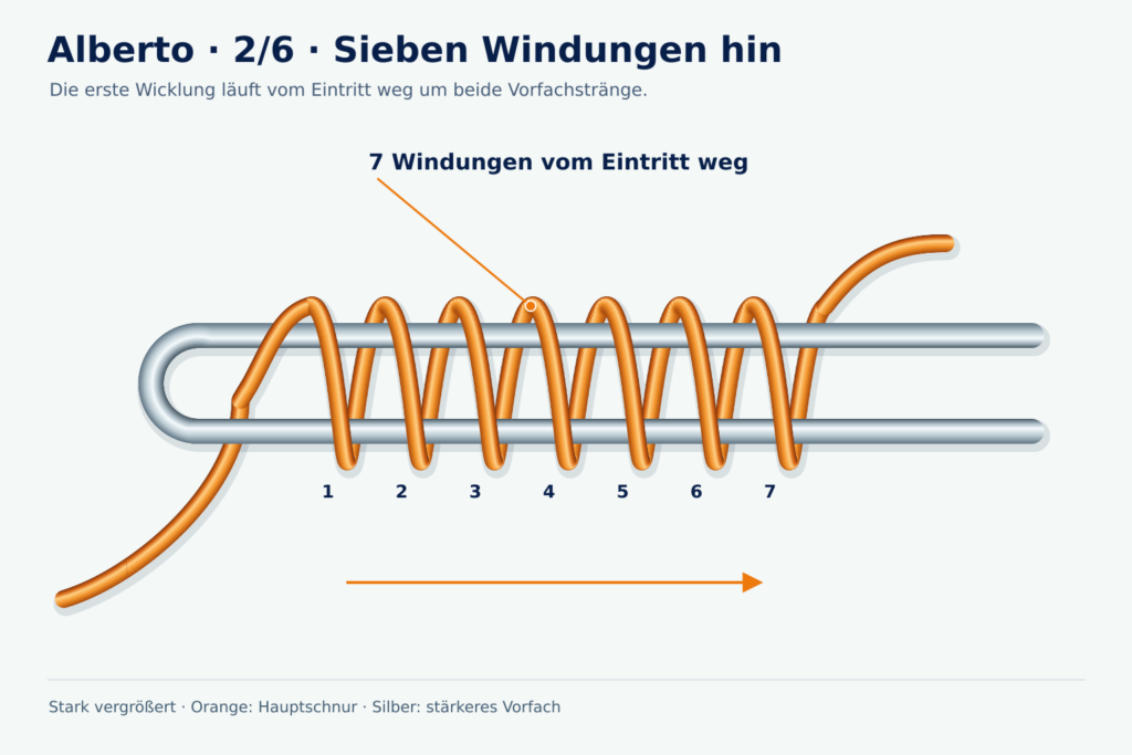 Alberto, Schritt 2: Sieben Windungen hin Vergrößerte Lernzeichnung: Alberto, Schritt 2 – Sieben Windungen hin