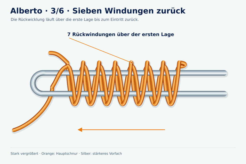 Alberto, Schritt 3: Sieben Windungen zurück Vergrößerte Lernzeichnung: Alberto, Schritt 3 – Sieben Windungen zurück