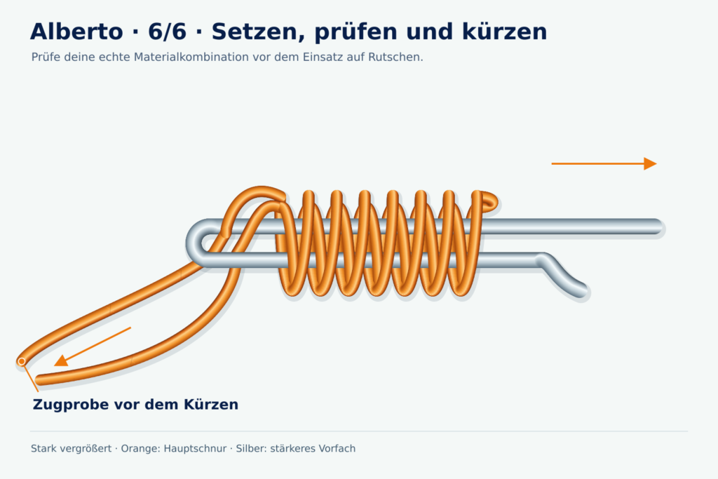 Alberto, Schritt 6: Setzen, prüfen und kürzen Vergrößerte Lernzeichnung: Alberto, Schritt 6 – Setzen, prüfen und kürzen