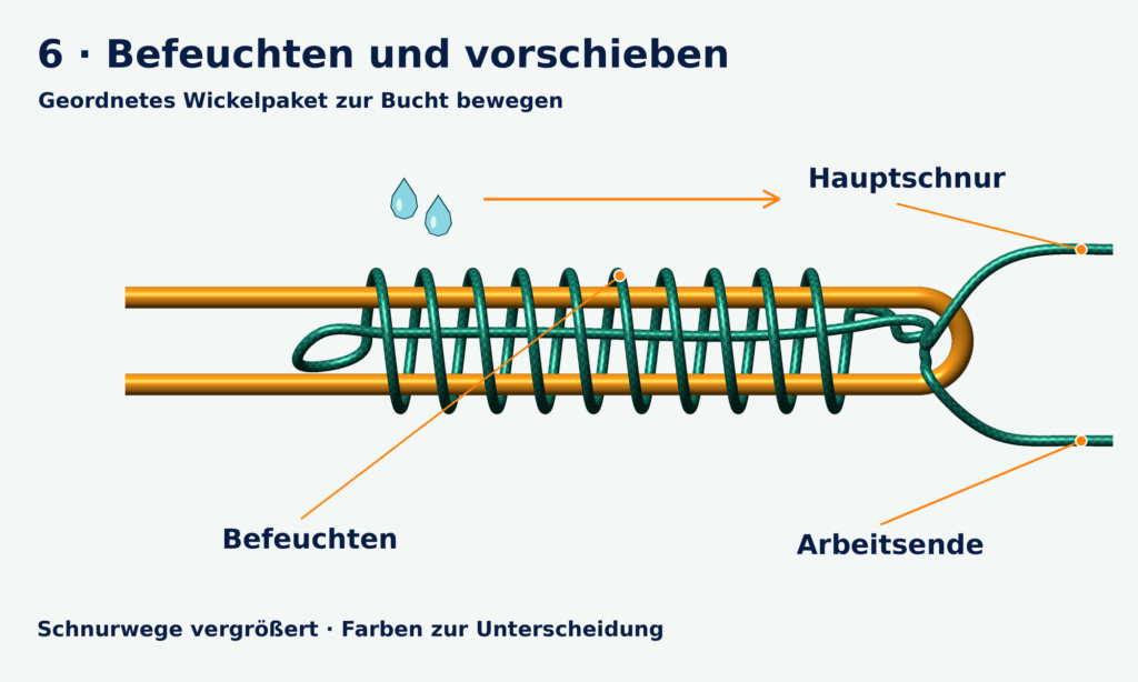 Geordnetes Paket aus zehn grünen Windungen zur orangefarbenen Vorfachbucht verschoben, Wassertropfen und Pfeil zeigen Befeuchten und Vorschieben