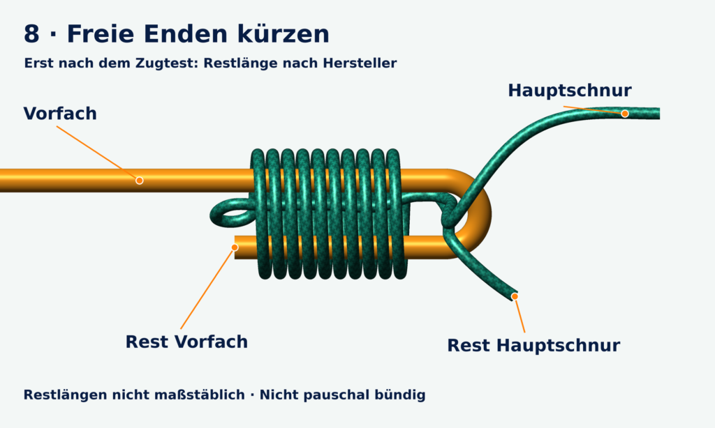 Nahaufnahme des Albright mit zehn Windungen und zwei gekürzten freien Enden, sichtbare Reststücke an Vorfach und Hauptschnur