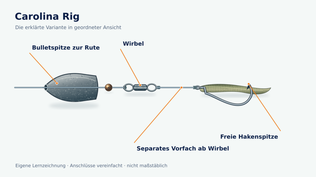 Lernzeichnung des Carolina Rigs mit Bulletgewicht, Perle, Wirbel und separatem Vorfach zum Offsetköder