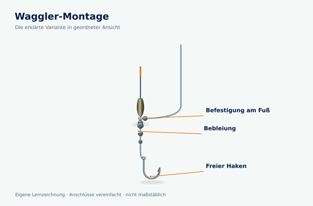 Fester Waggler mit unterem Öhr zwischen Begrenzungsgewichten und weiteren kleinen Schroten zum Haken