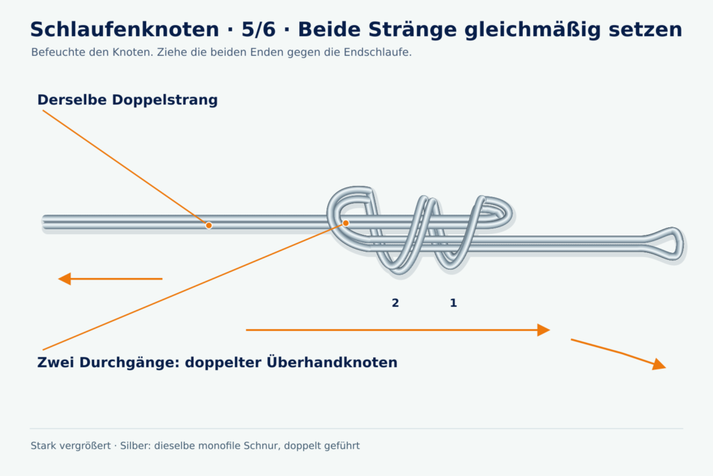 Detaillierte Angeldock-Lernzeichnung, Schlaufenknoten, Schritt 5: Beide Stränge gleichmäßig setzen