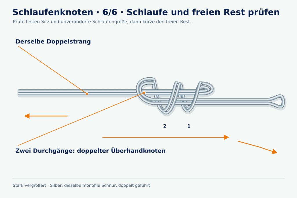 Detaillierte Angeldock-Lernzeichnung, Schlaufenknoten, Schritt 6: Schlaufe und freien Rest prüfen