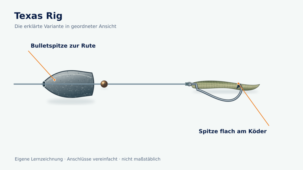 Texas Rig mit Bulletgewicht, optionaler Perle und Offsethaken, dessen Spitze flach am Köderrücken anliegt