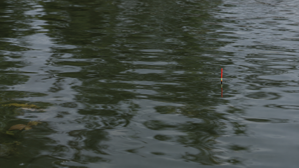 Schmale Angelpose mit roter Spitze auf leicht bewegtem Wasser