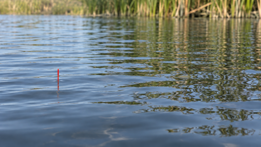 Eine schmale Pose mit roter Spitze steht auf leicht bewegtem Wasser vor unscharfen Uferreflexen.