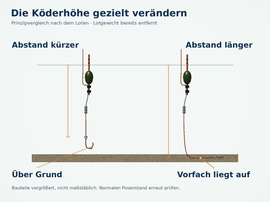 Prinzipvergleich zweier Feststellposenmontagen ohne Lotgewicht: Links hängt ein kleiner Köder über dem Grund; rechts liegt ein Teil des Vorfachs auf dem Boden.