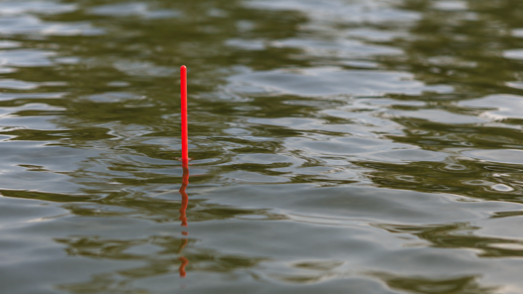 Eine einzelne schlanke rote Posenantenne steht aufrecht über grünlich reflektierendem Wasser; darunter ist ihre gebrochene Spiegelung sichtbar.