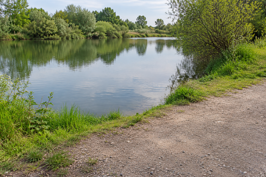 Breiter trockener Erd- und Kiesweg am niedrigen Grasufer einer ruhigen Bucht mit freier Wasserzone.
