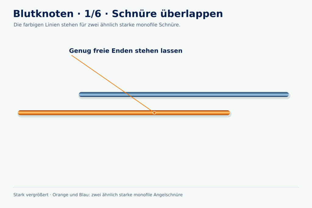 Vergrößerte Lernzeichnung: zwei getrennte monofile Angelschnüre in Orange und Blau überlappen gegeneinander