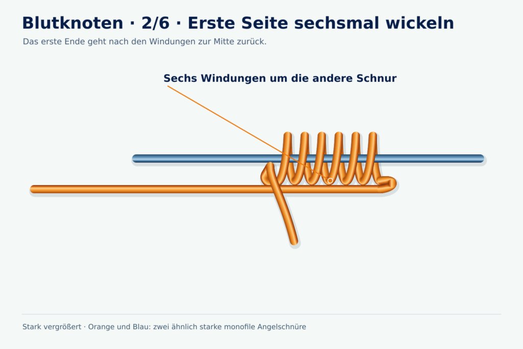 Vergrößerte Lernzeichnung: Blutknoten, Schritt 2 – Erste Seite wickeln