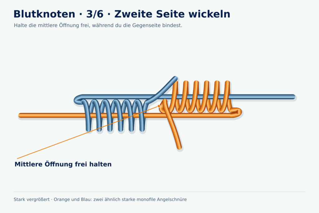 Vergrößerte Lernzeichnung: Blutknoten, Schritt 3 – Zweite Seite wickeln