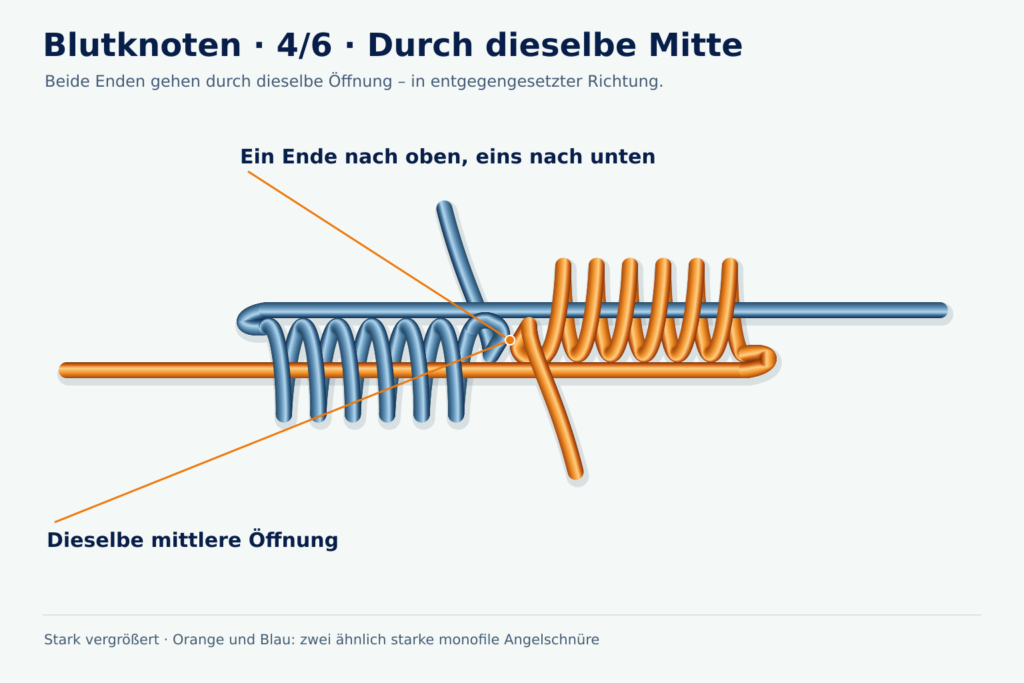 Vergrößerte Lernzeichnung: Blutknoten, Schritt 4 – Enden entgegengesetzt durchführen