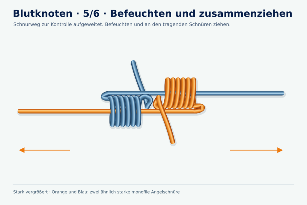 Vergrößerte Lernzeichnung: Blutknoten, Schritt 5 – Befeuchten und zusammenziehen