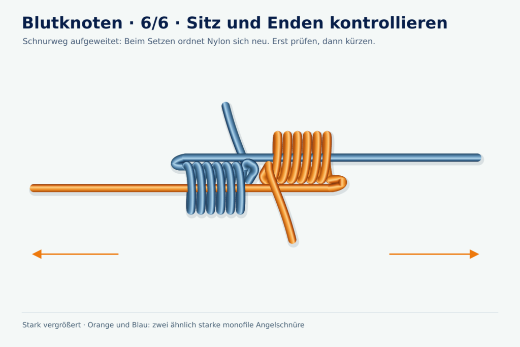 Vergrößerte Lernzeichnung: Blutknoten, Schritt 6 – Sitz und Enden kontrollieren
