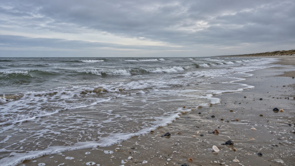 Flacher Sandstrand mit Muschelschalen und niedrigen brechenden Wellen