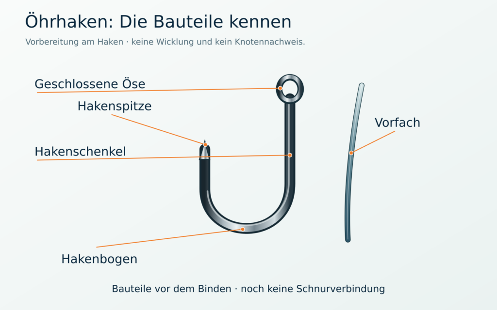 Ungebundener Öhrhaken mit geschlossener Öse, Schenkel, Bogen und Spitze neben einem Vorfachstück
